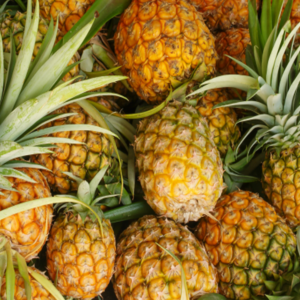 Pineapple1 pineapples - Image 1